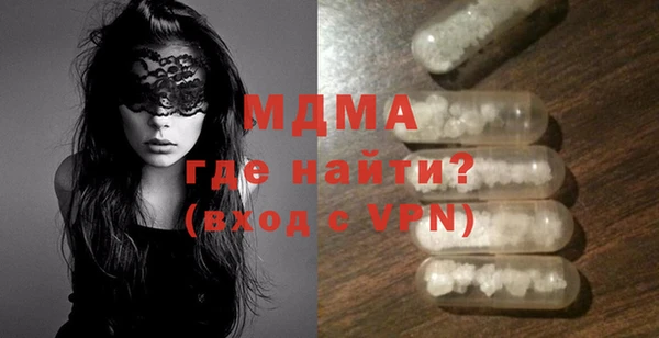 амф Тайга