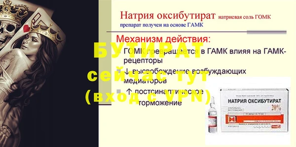 амф Тайга