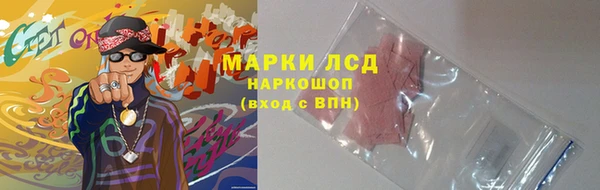 СК Сясьстрой
