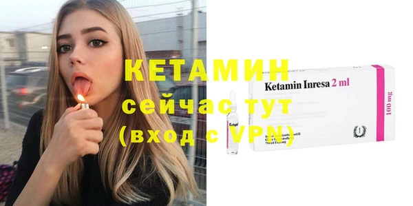 амф Тайга
