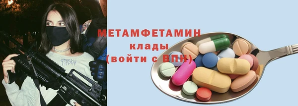 амф Тайга