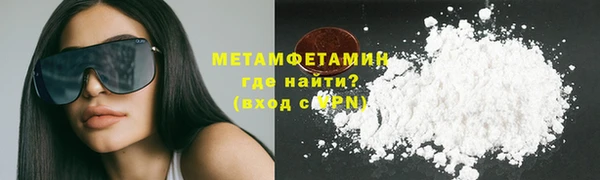 амф Тайга