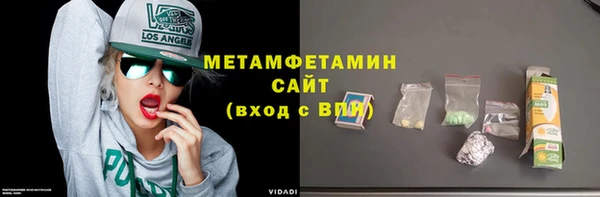 амф Тайга