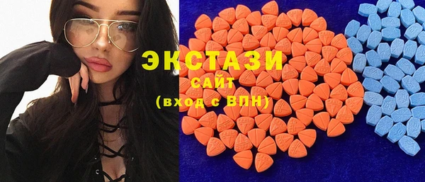 амф Тайга
