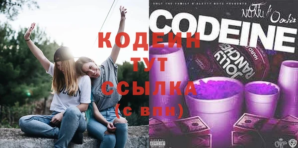 амф Тайга