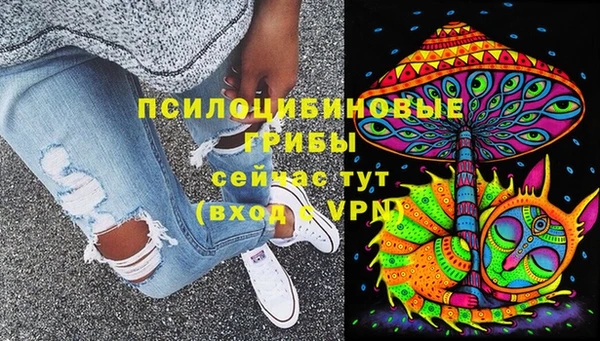 СК Сясьстрой