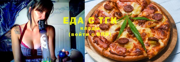 амф Тайга
