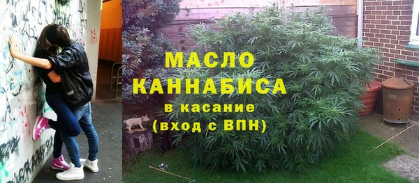 амф Тайга